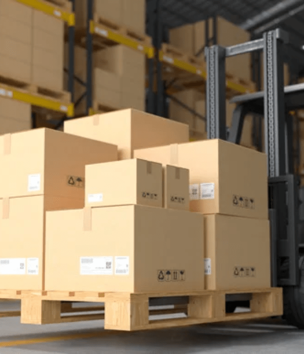 Dropshipping Services Support